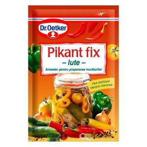 DR.PIKANT FIX 100GR IUTE(25B)