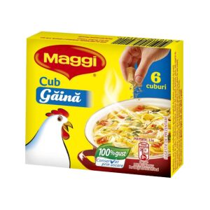 MAGGI CUB GAINA 60GR(20B)