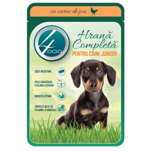 PET.4DOG PLIC JUNIOR 100GR PUI(24B)