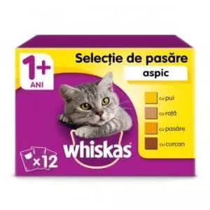 PET.WHISKAS PLIC 85GR.JUNIOR PUI(28B)