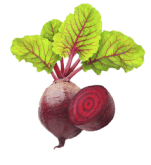 Vegetables