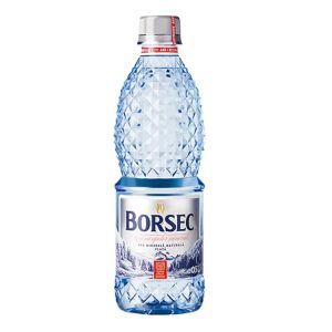 BORSEC APA PLATA 0.5L (12BUC)SGR