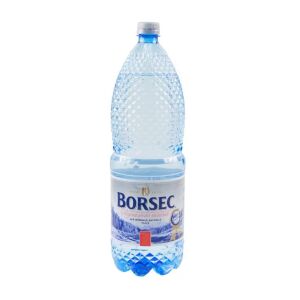 BORSEC APA PLATA 2L (6BUC)SGR
